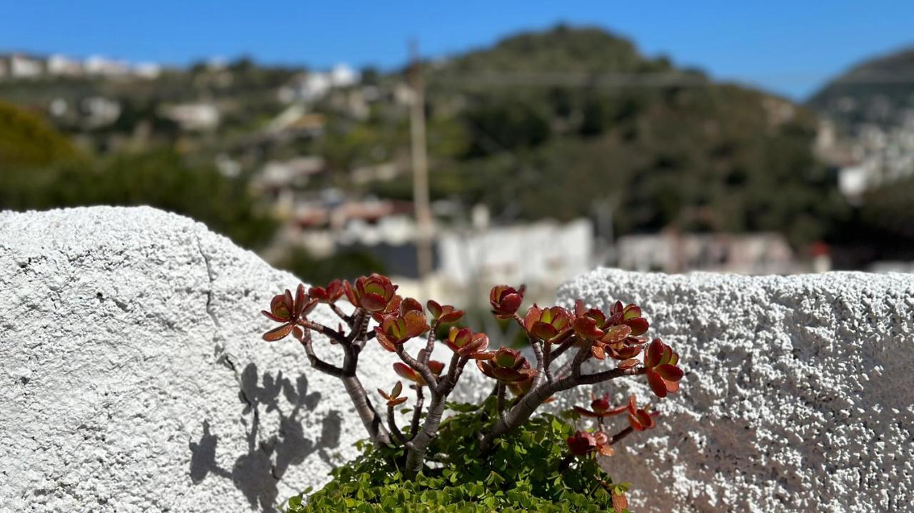 Villa La Milanina Lipari  Bagian luar foto