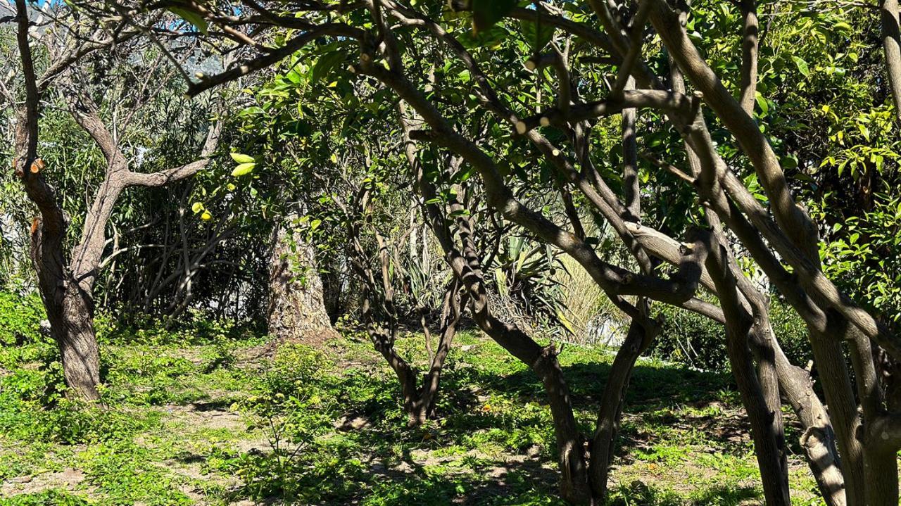 Villa La Milanina Lipari  Bagian luar foto